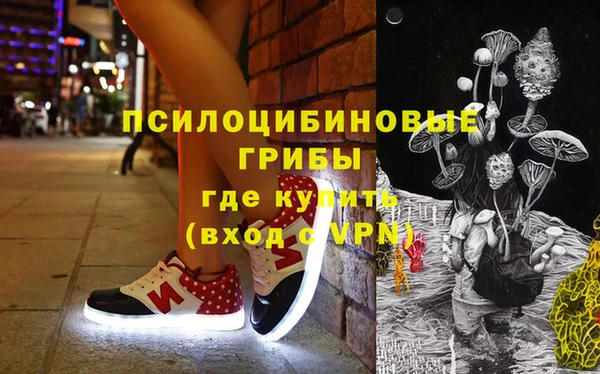 спиды Абаза