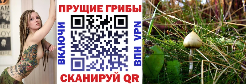 Псилоцибиновые грибы Magic Shrooms  Ялта 