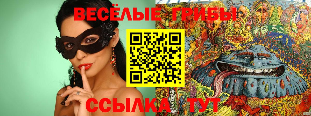 Псилоцибиновые грибы GOLDEN TEACHER  Псилоцибиновые грибы Psilocybe  Ялта  Вход с VPN 