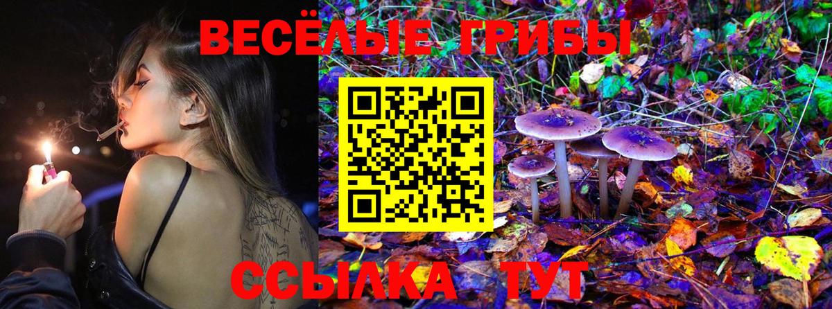 Псилоцибиновые грибы Cubensis Ялта